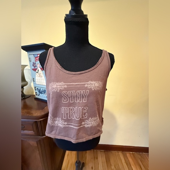 American Eagle Outfitters Tops - American Eagle Outfitters Brown Crop Top